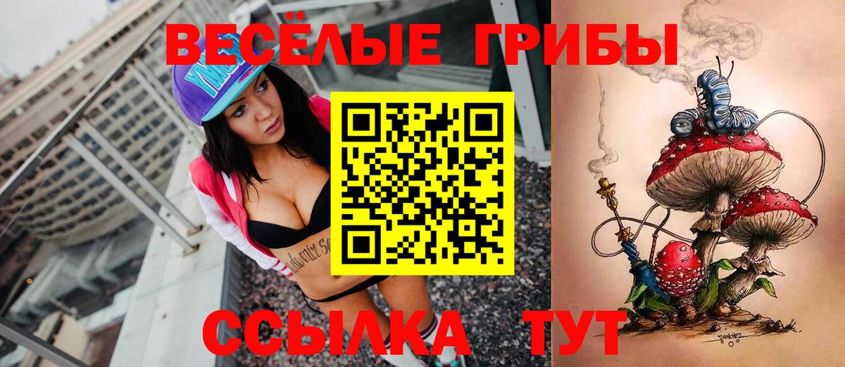Псилоцибиновые грибы Cubensis Городец